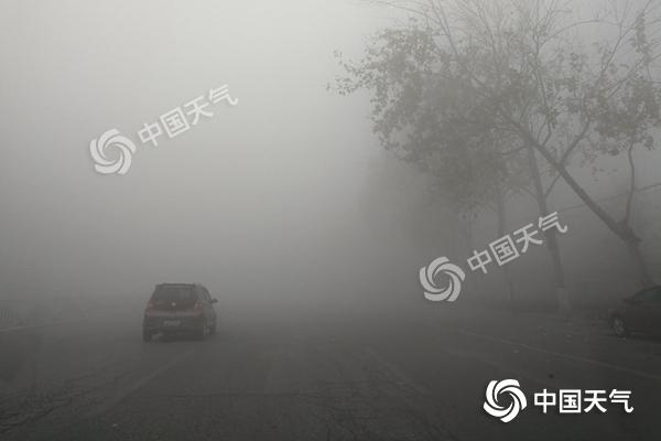 針對濃霧天氣蘇州美嘉匯食品科技有限公司物流派遣通知